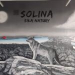 mural w Solinie